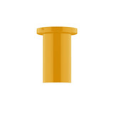 Flush Mounts Glass Down by Montclair Light Works ( 518 | FMD425-21-L10 Beam ) 