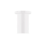 Flush Mounts Glass Down by Montclair Light Works ( 518 | FMD425-44-L10 Beam ) 