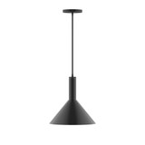 Pendants Metal Shade by Montclair Light Works ( 518 | PEBX466-G15-41-C24 Chase ) 