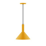 Pendants Metal Shade by Montclair Light Works ( 518 | PEBX466-21-C12-L12 Chase ) 