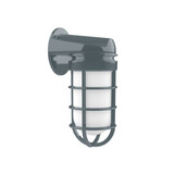 Exterior Wall Mount by Montclair Light Works ( 518 | SCW050-40-G07 Vaportite ) 