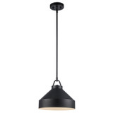 Pendants Metal Shade by Trans Globe Imports ( 110 | PND-2242 BK ) 