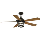 Fans Wet Location by Progress Lighting ( 54 | P2576-2030K Smyrna ) 
