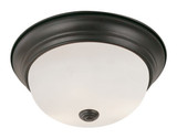 Flush Mounts Bowl Style by Trans Globe Imports ( 110 | 13719 ROB Bowers ) 