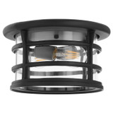 Exterior Ceiling Mount by Quorum ( 19 | 318-11-69 Haley ) 