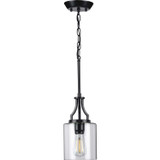 Mini Pendants Glass Down by Progress Lighting ( 54 | P500208-031 Lassiter ) 