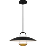 Pendants Metal Shade by Quoizel ( 10 | BIN2818MBK Bingham ) 