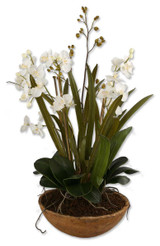 Home Accents Flowers/Greenery by Uttermost ( 52 | 60039 Moth Orchid ) 