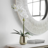 Home Accents Flowers/Greenery by Uttermost ( 52 | 60189 Cami Orchid ) 
