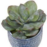 Home Accents Flowers/Greenery by Uttermost ( 52 | 60192 Puebla ) 