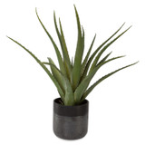Home Accents Flowers/Greenery by Uttermost ( 52 | 60204 Tucson ) 
