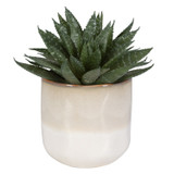 Home Accents Flowers/Greenery by Uttermost ( 52 | 60213 Doha ) 