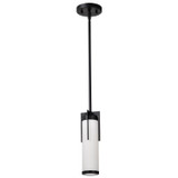 Mini Pendants Glass Down by Nuvo Lighting ( 72 | 60-8053 Roselle ) 