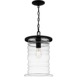 Exterior Hanging by Quoizel ( 10 | NAD1910MBK Noland ) 