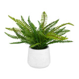 Home Accents Flowers/Greenery by Uttermost ( 52 | 60238 Boston Fern ) 
