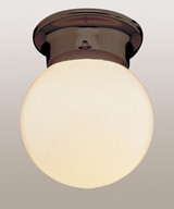 Utility Ceiling by Trans Globe Imports ( 110 | 3606 ROB Dash ) 