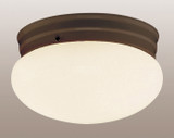 Utility Ceiling by Trans Globe Imports ( 110 | 3620 ROB Dash ) 