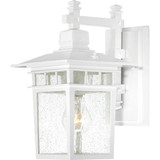 Exterior Wall Mount by Nuvo Lighting ( 72 | 60-4951 Cove Neck ) 