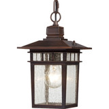 Exterior Hanging by Nuvo Lighting ( 72 | 60-4955 Cove Neck ) 