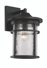 Exterior Wall Mount by Trans Globe Imports ( 110 | 40382 BK Avalon ) 