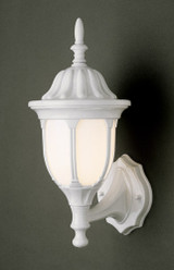 Exterior Wall Mount by Trans Globe Imports ( 110 | 4040 WH Hamilton ) 