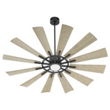 Fans Damp Location by Quorum ( 19 | 46012-5942 Cirque ) 