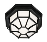 Exterior Ceiling Mount by Trans Globe Imports ( 110 | 40581 BK Benkert ) 
