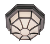 Exterior Ceiling Mount by Trans Globe Imports ( 110 | 40582 BK Benkert ) 