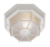 Exterior Ceiling Mount by Trans Globe Imports ( 110 | 40582 WH Benkert ) 