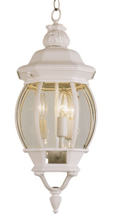 Exterior Hanging by Trans Globe Imports ( 110 | 4066 WH Parsons ) 