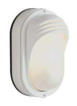 Exterior Wall Mt./Flush by Trans Globe Imports ( 110 | 4124 WH Fringe ) 