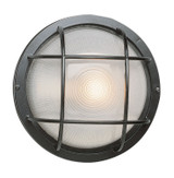 Exterior Wall Mt./Flush by Trans Globe Imports ( 110 | 41505 BK Aria ) 