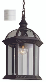 Exterior Hanging by Trans Globe Imports ( 110 | 4183 WH Wentworth ) 