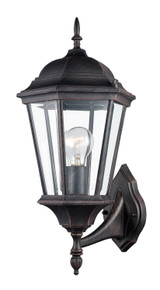 Exterior Wall Mount by Trans Globe Imports ( 110 | 4250 RT San Rafael ) 