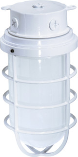 Exterior Ceiling Mount by Nuvo Lighting ( 72 | SF76-618 ) 