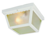 Exterior Ceiling Mount by Trans Globe Imports ( 110 | 4902 WH Samantha ) 