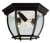 Exterior Ceiling Mount by Trans Globe Imports ( 110 | 4906 BK Angelus ) 