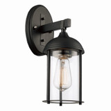 Exterior Wall Mount by Trans Globe Imports ( 110 | 50230 BK Blues ) 