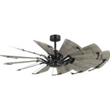 Fans Damp Location by Progress Lighting ( 54 | P250098-31M Springer Ii ) 