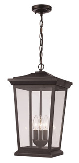 Exterior Hanging by Trans Globe Imports ( 110 | 50775 BK ) 