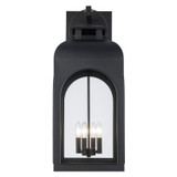 Exterior Wall Mount by Trans Globe Imports ( 110 | 51285 BK Wintergreen ) 