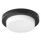 Fans Light Kits by Quorum ( 19 | 8-356-69 Trio ) 