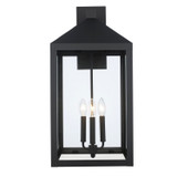 Exterior Wall Mount by Trans Globe Imports ( 110 | 51533 BK Tempest ) 