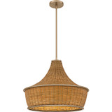 Pendants Other by Quoizel ( 10 | QP6770BGD Quoizel Pendant ) 