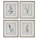 Home Accents Prints/Photography by Uttermost ( 52 | 32285 Heirloom Blooms ) 