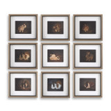 Home Accents Prints/Photography by Uttermost ( 52 | 32386 Resting Bunny ) 