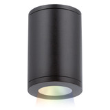 Exterior Ceiling Mount by W.A.C. Lighting ( 34 | DS-CD05-N-CC-BK Tube Arch ) 