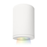 Exterior Ceiling Mount by W.A.C. Lighting ( 34 | DS-CD05-S-CC-WT Tube Arch ) 