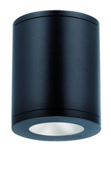 Exterior Ceiling Mount by W.A.C. Lighting ( 34 | DS-CD0622-F27-BK Tube Arch ) 