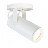 Flush Mounts Directional by W.A.C. Lighting ( 34 | X36-MO2020940WT Silo ) 
